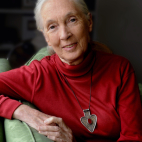 Dr. Jane Goodall, DBE
